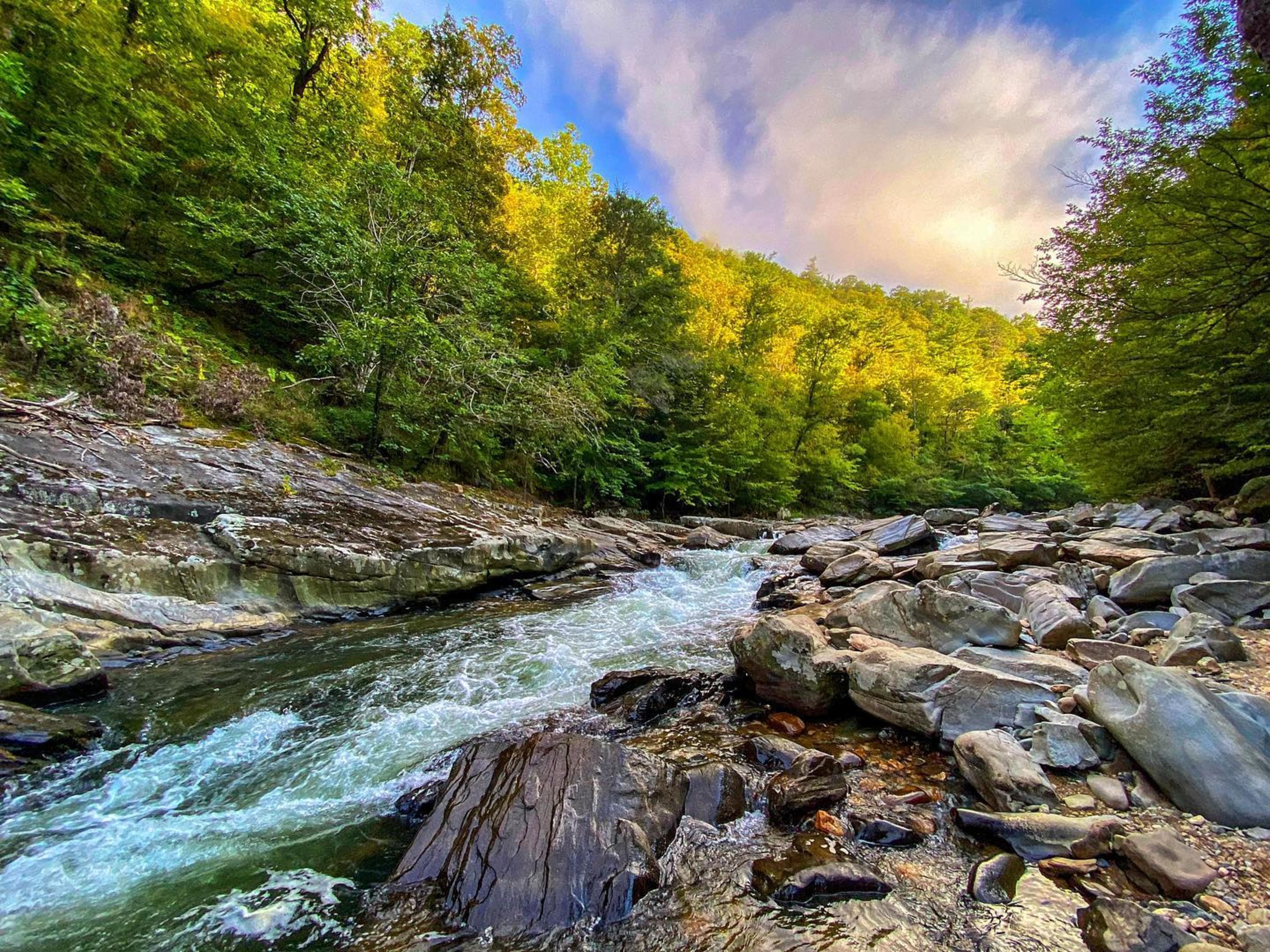 Laurel River Trail