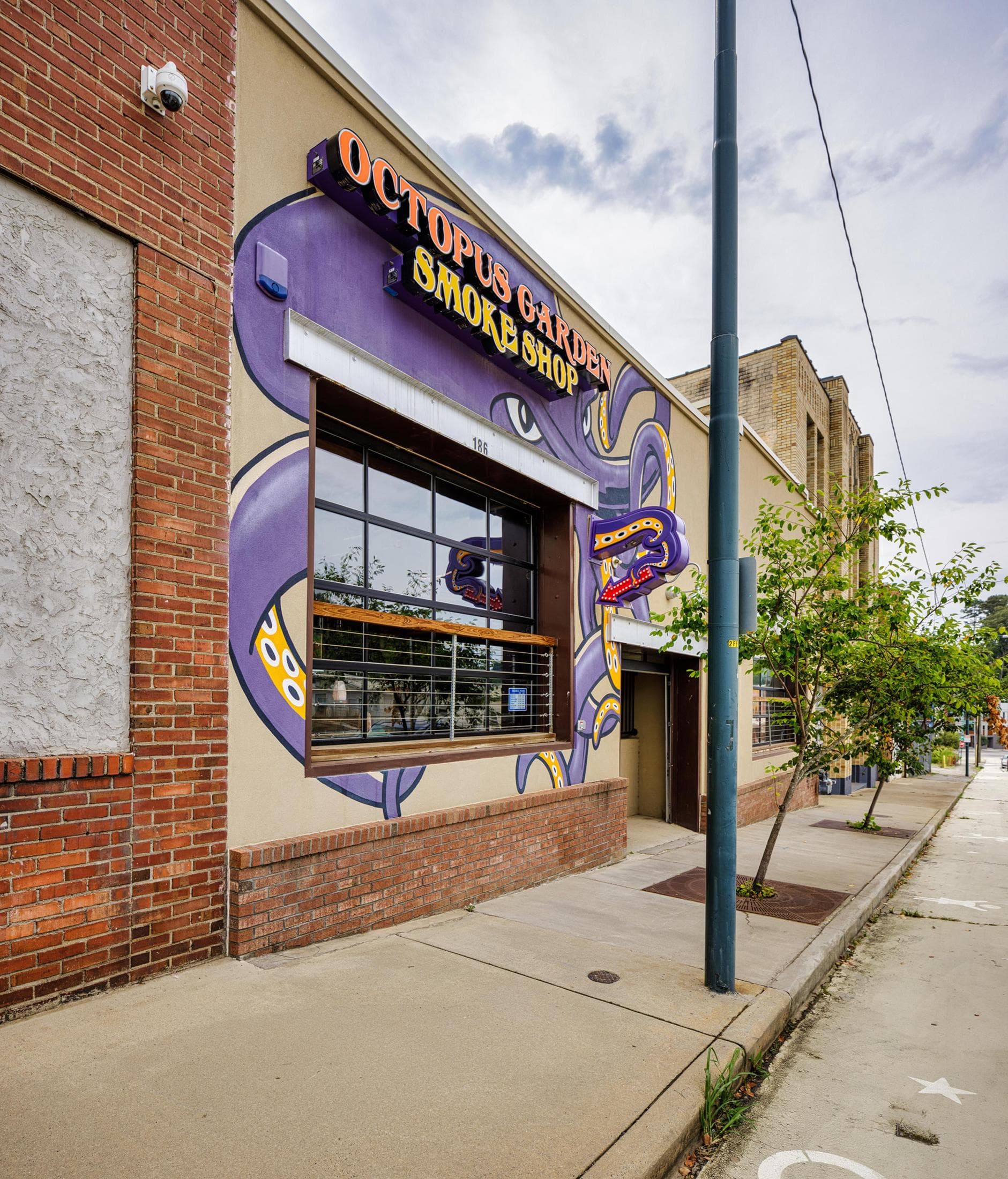 "Twisted Tentacles" at Octopus Garden "Twisted Tentacles" at Octopus Garden