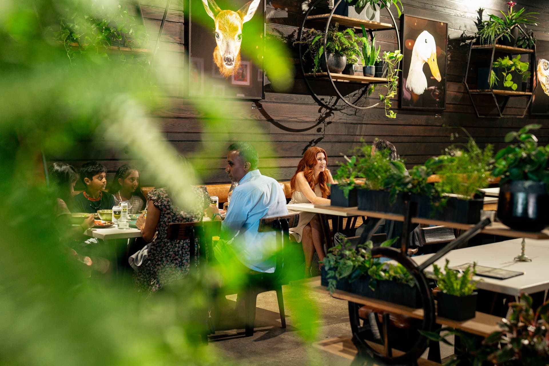 Cultura restaurant in Asheville / Photo: Savannah Bockus Cultura restaurant in Asheville / Photo: Savannah Bockus