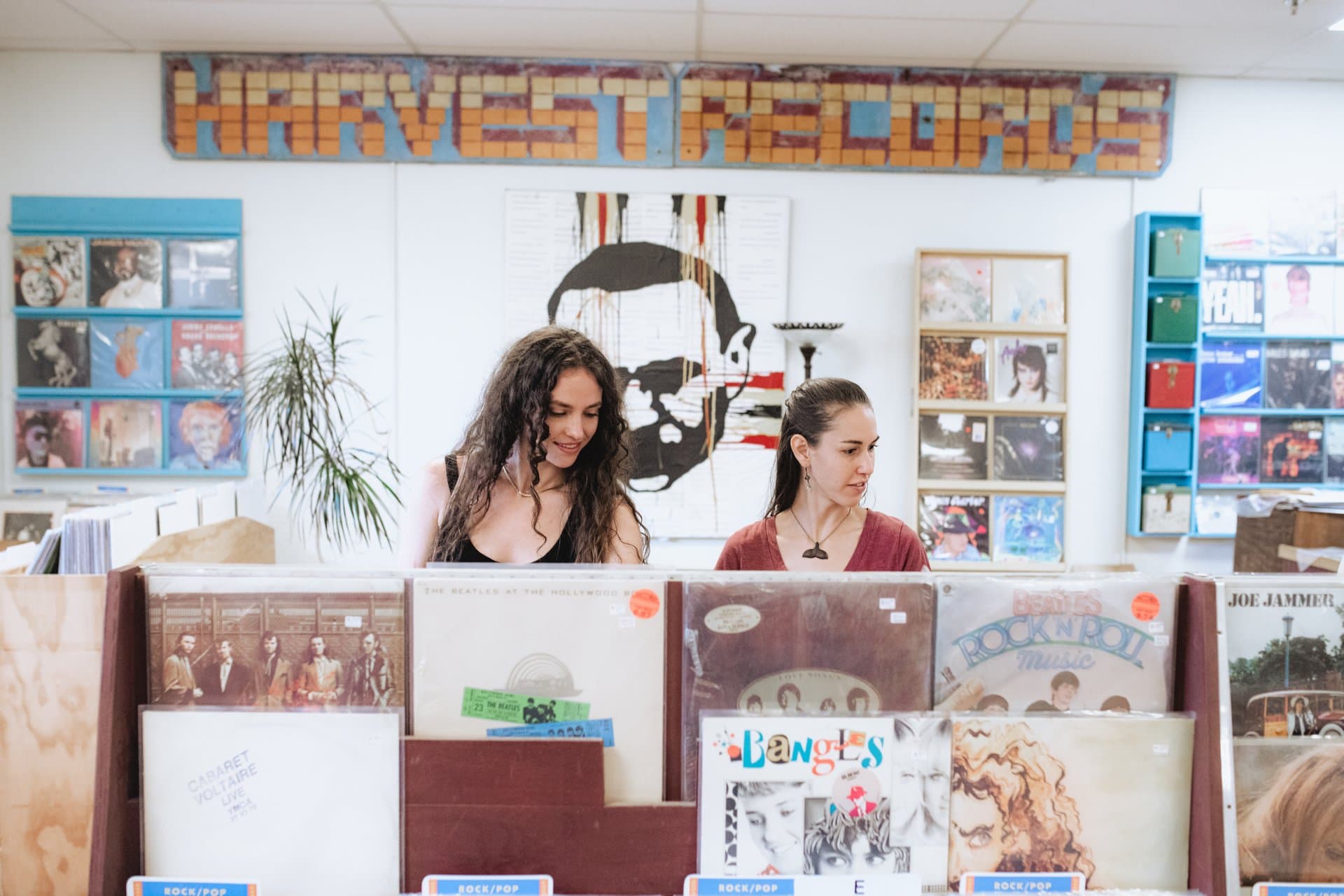 Harvest Records in West Asheville / Photo: Stephan Pruitt Harvest Records in West Asheville / Photo: Stephan Pruitt