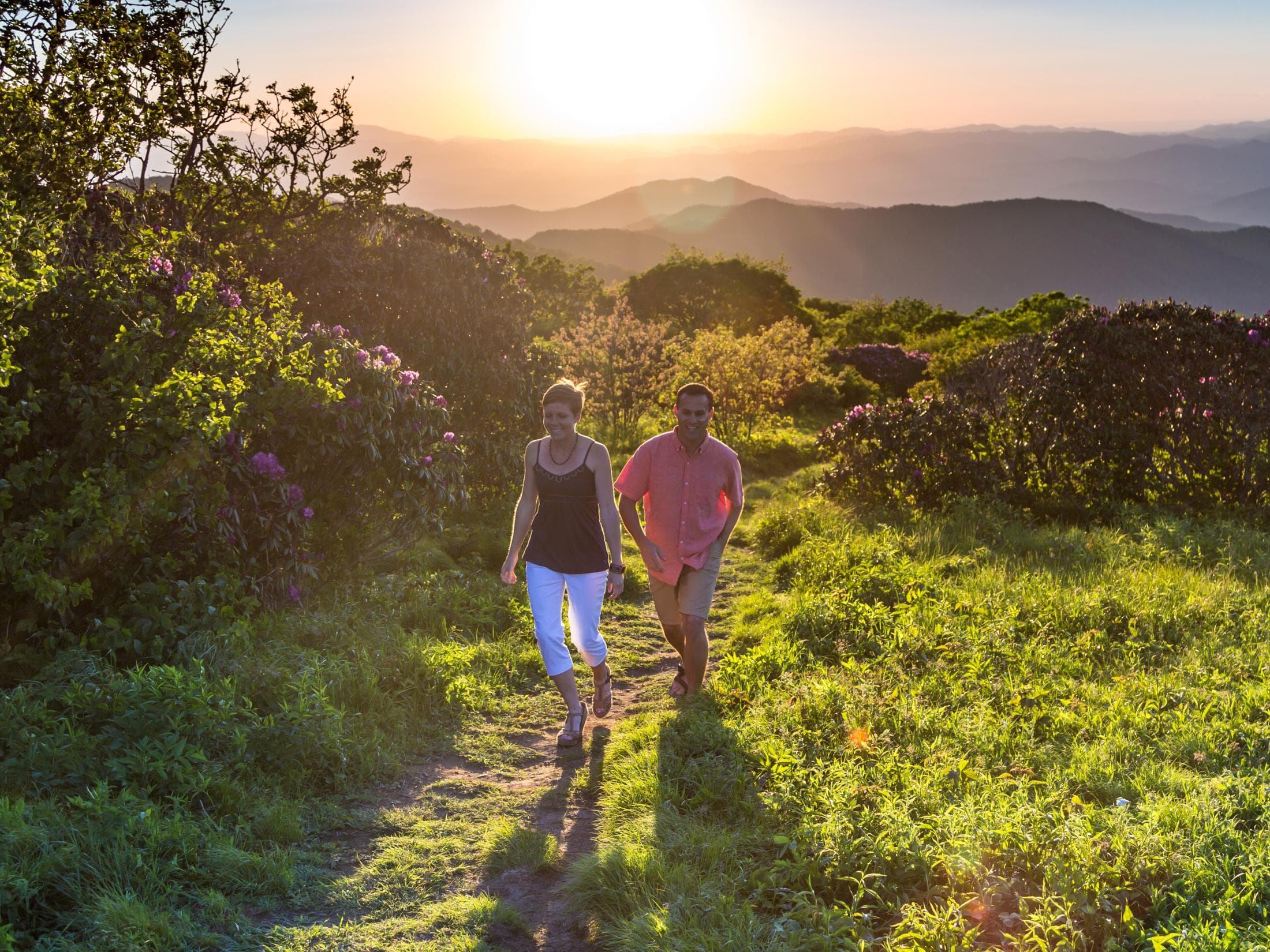 Craggy Gardens by Jared Kay Craggy Gardens by Jared Kay
