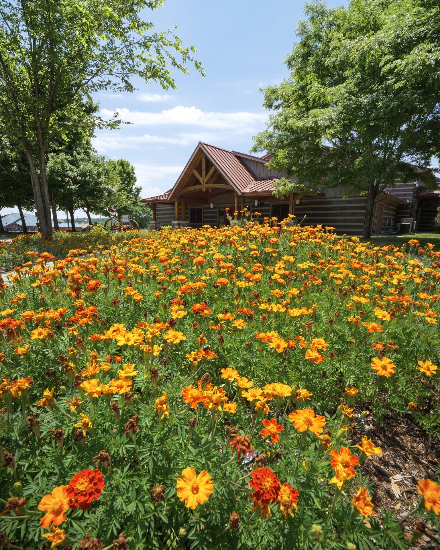 Ag Center in Asheville Ag Center in Asheville