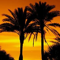 Fort Myers to Asheville Fort Myers to Asheville