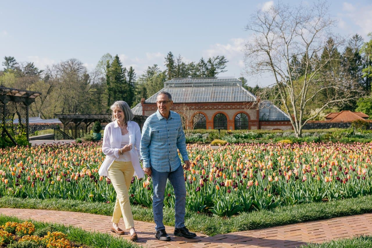 Spring at Biltmore / Photo: Darrell Cassell Spring at Biltmore / Photo: Darrell Cassell