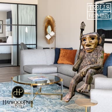 Trolls: A Field Study with Haywood Park Hotel