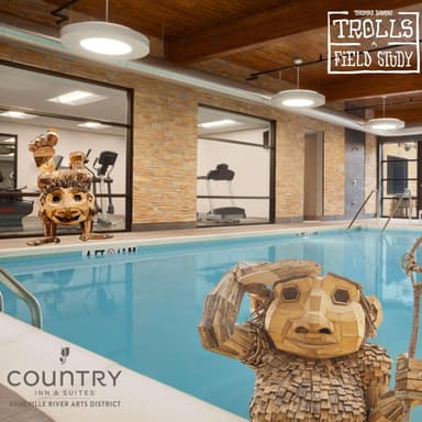 Trolls: A Field Study with Country Inn & Suites Asheville River Arts District