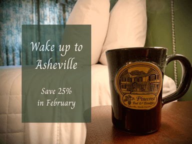 Wake Up to Asheville 25% Off