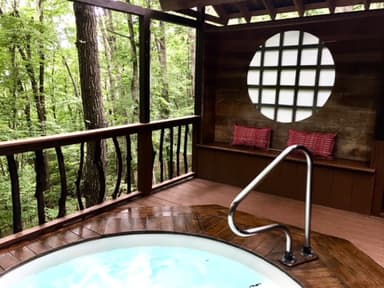 Immerse yourself in the art of Forest Bathing