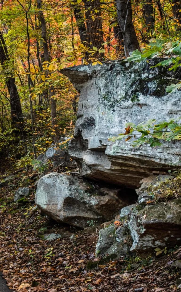 Fall Scenic Drives: Late Season Color Fall Scenic Drives: Late Season Color Asheville NC