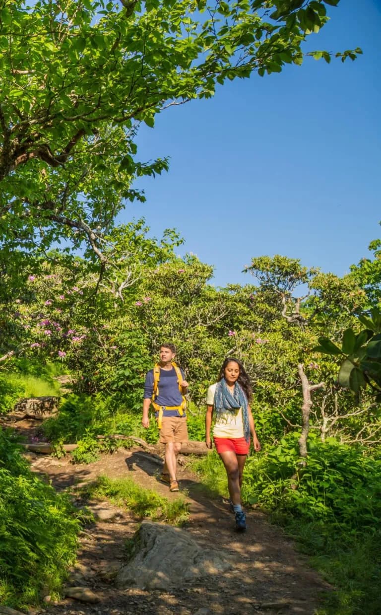 PR Contacts Two people hike on a trail through Craggy Gardens in Asheville