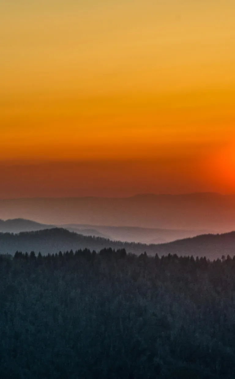 Day Trip: Exploring the Great Smoky Mountains National Park Day Trip: Exploring the Great Smoky Mountains National Park