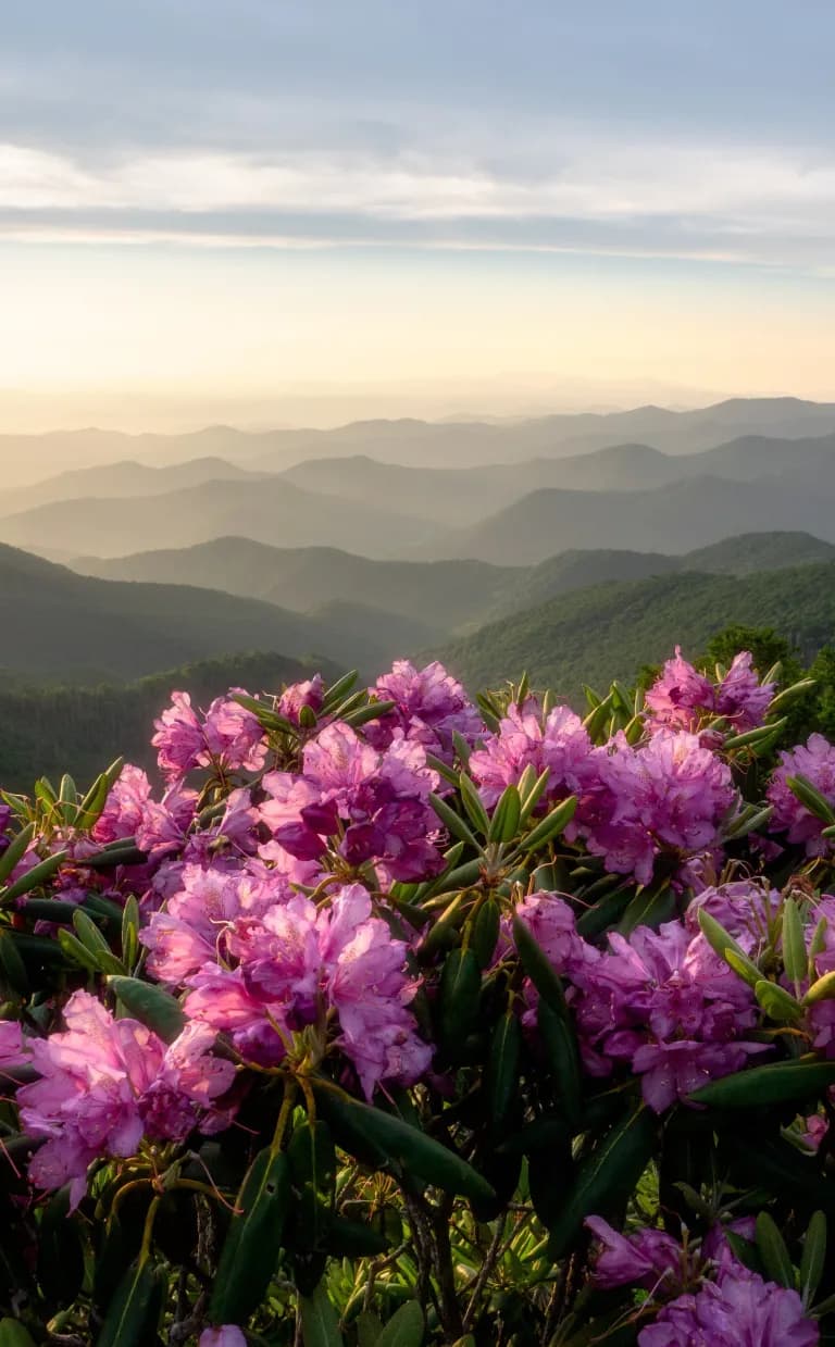 Craggy Pinnacle Trail Craggy Pinnacle / Photo: J Smilanic