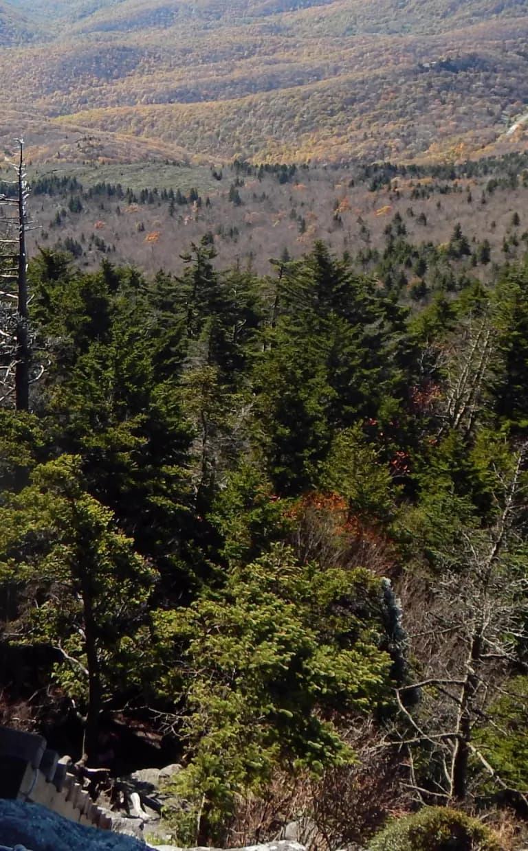 Grandfather Mountain Trail Man on Grandfather Trail sitting soaking in the views Asheville