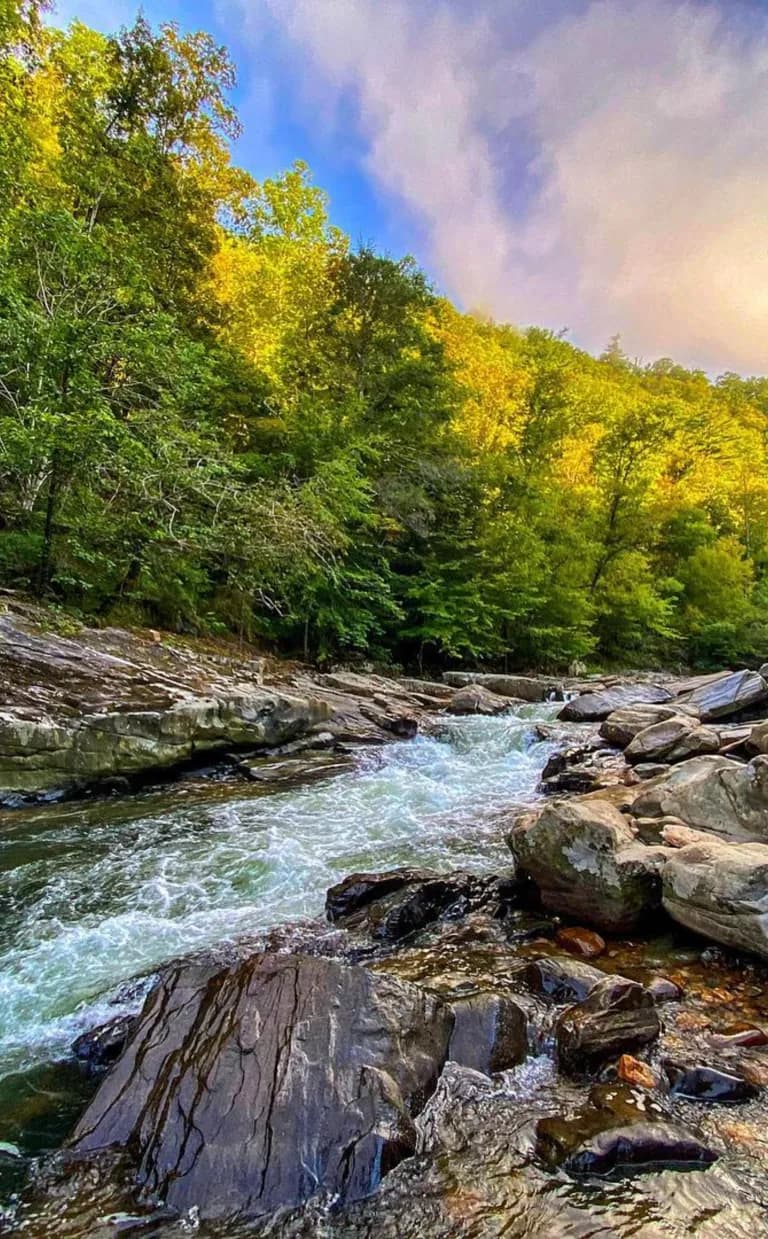 Laurel River Trail Laurel River Trail