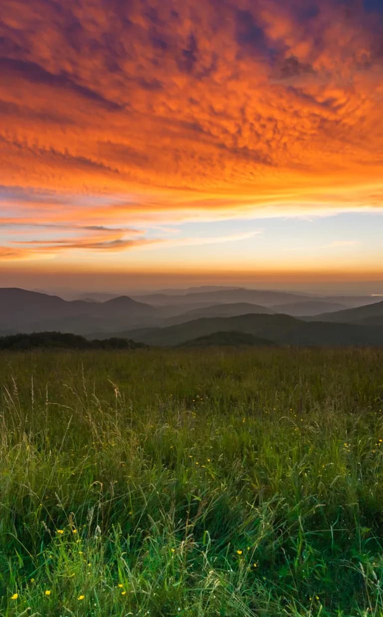 Max Patch Trail Max Patch Trail sunset