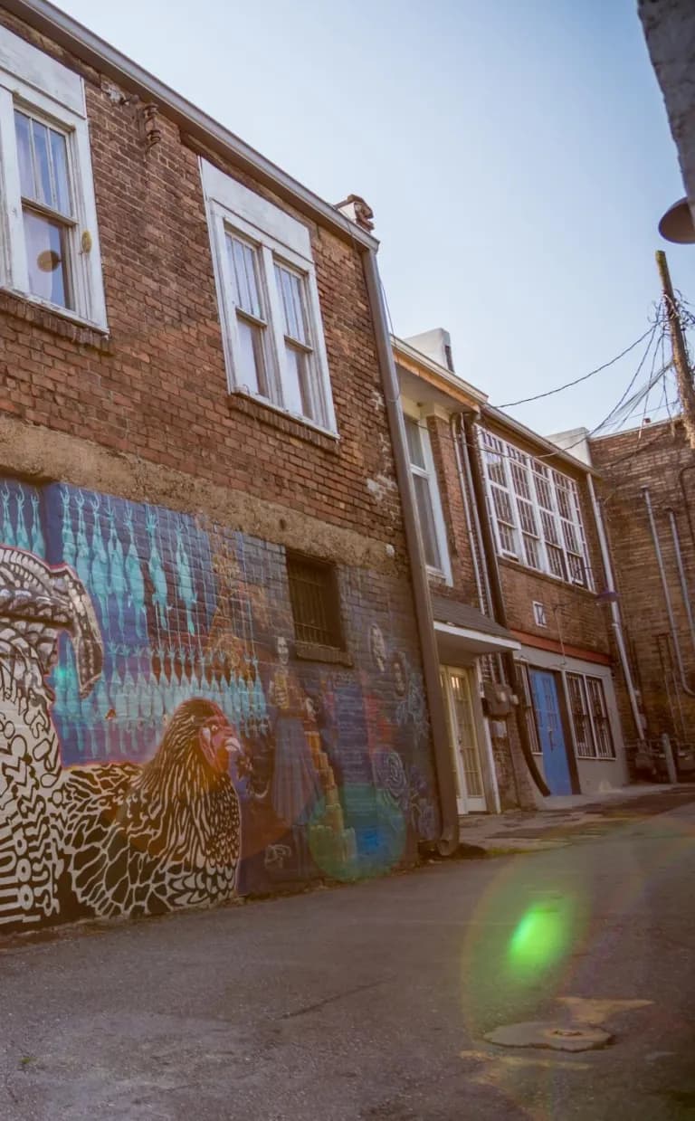 The Asheville Art Scene’s Open Door Policy Chicken Alley, Downtown Asheville