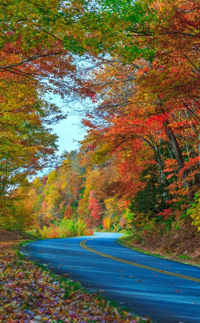 Asheville Area Fall Color Map Fall on the Blue Ridge Parkway by Jared Kay