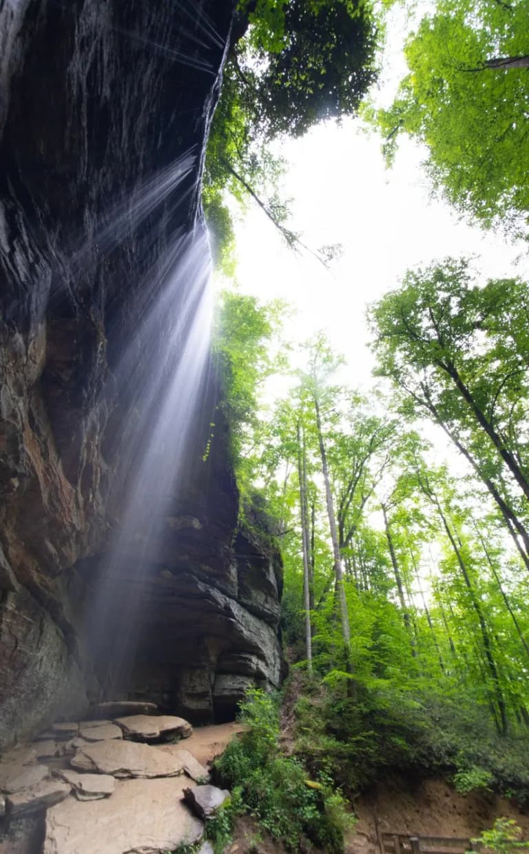 Moore Cove Falls Trail Moore Cove Falls / Photo: Chris Burkard