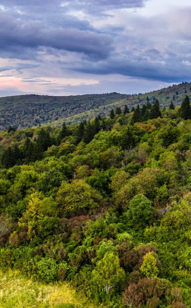 Sam Knob at Black Balsam Trail Sam Knob at Black Balsam Trail