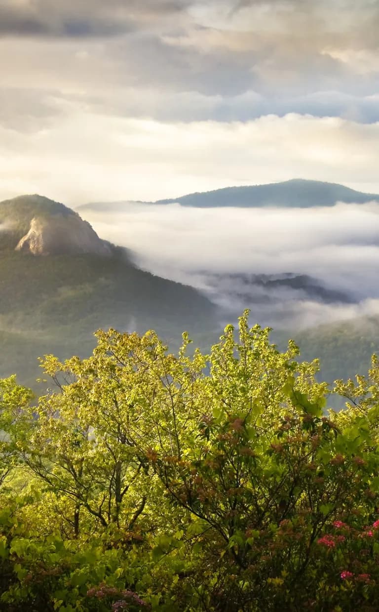 Looking Glass Rock Trail Looking Glass Rock / Photo: Dave Allen