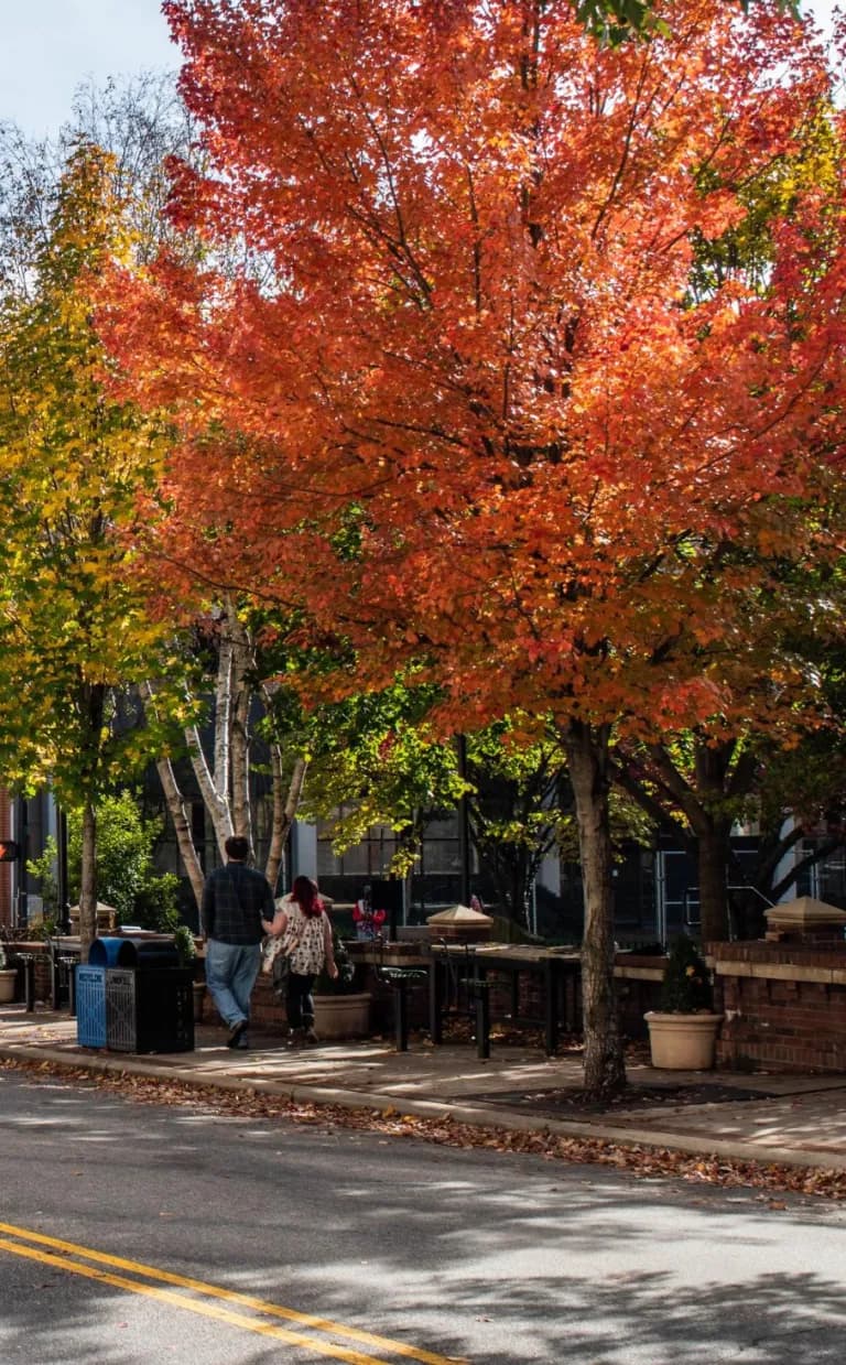 Asheville Parking Information S&W Building
