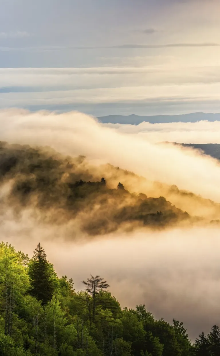 Meeting Case Study: Climate Adaptive Design Symposium Thermal inversion in the Blue Ridge Mountains