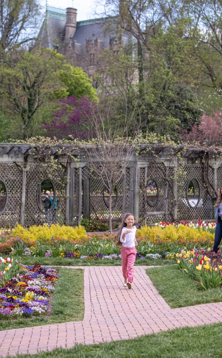 The Ultimate Guide to Spring at Biltmore Biltmore Blooms
