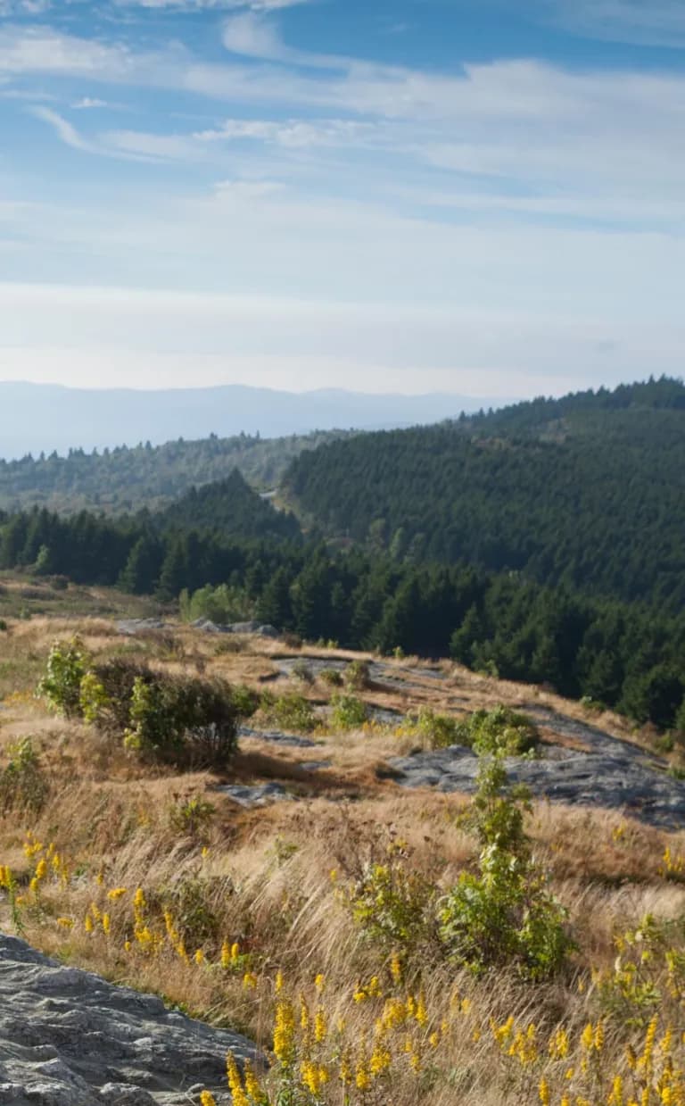 Outdoor NC Hiking Black Balsam by Steven McBride