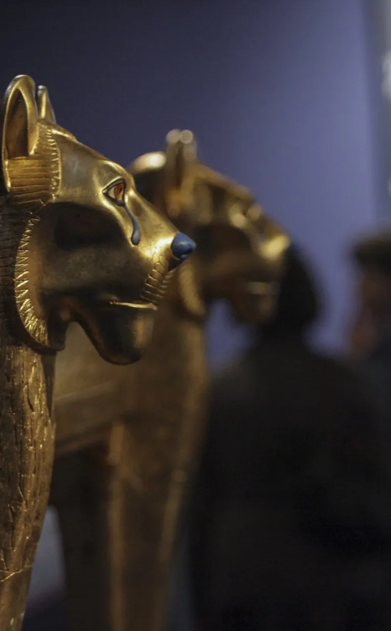 A Journey to Ancient Egypt: Unwrap Tutankhamun at Biltmore Tutankhamun: His Tomb and His Treasures