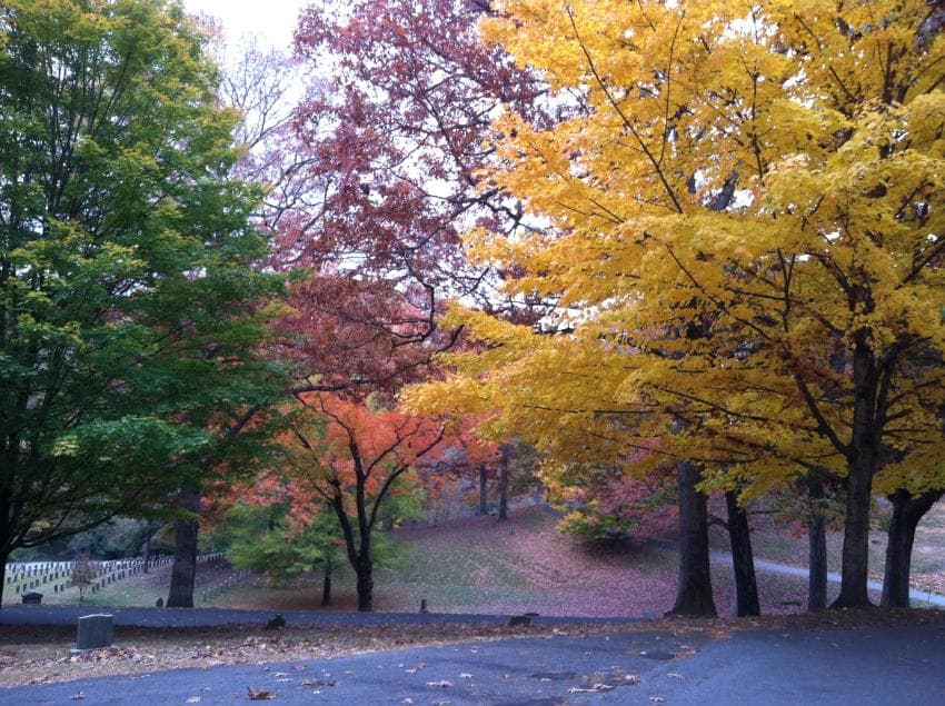 Riverside Cemetery Hike fall colors Riverside Cemetery Hike fall colors