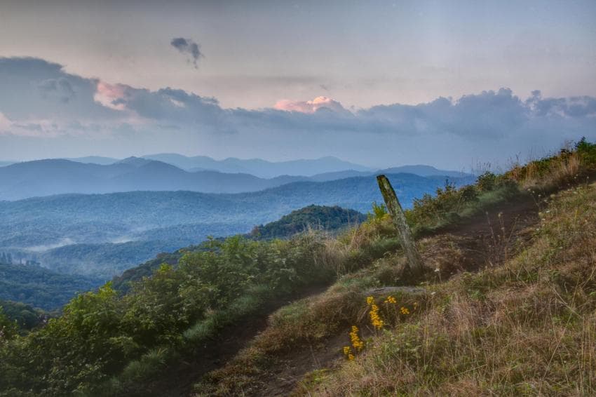 Max Patch / Photo: Rob Travis Max Patch / Photo: Rob Travis