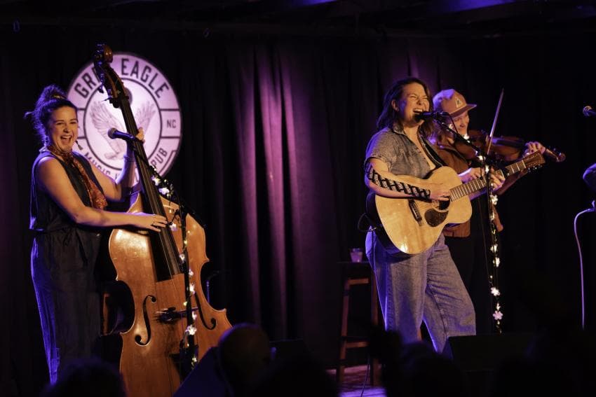 Grey Eagle Grey Eagle