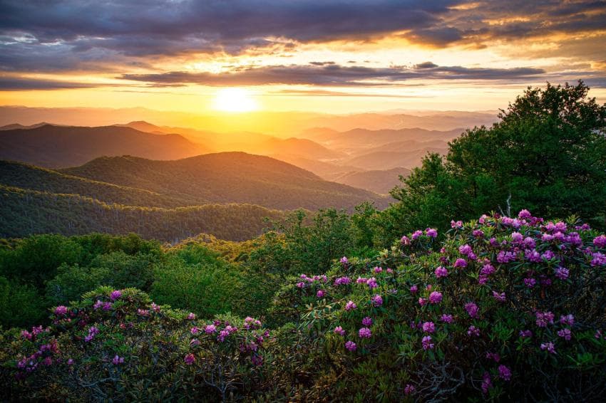 Craggy Gardens Craggy Gardens