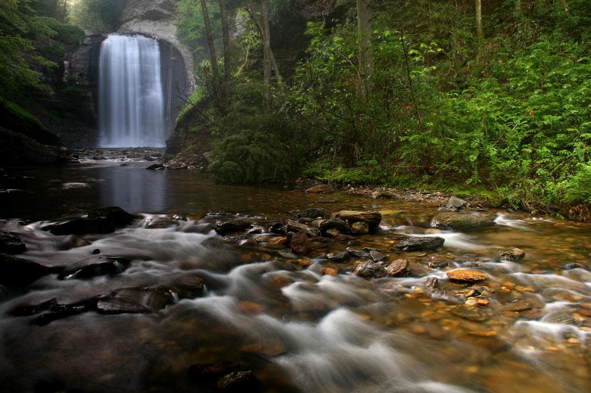 Looking Glass Falls Looking Glass Falls