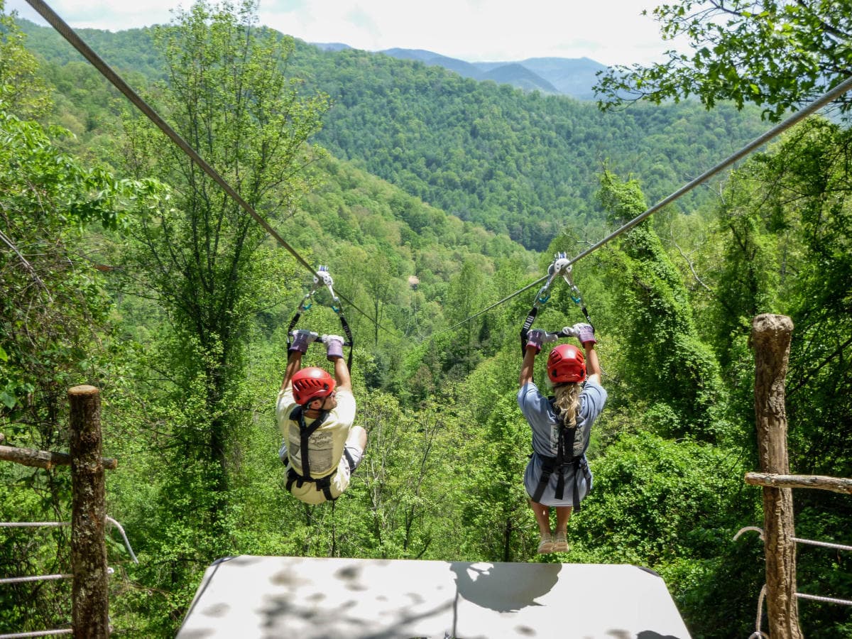 Navitat Zipline Navitat Zipline